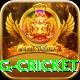 1st inning betting cricket Pro Edition v1.7.3