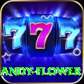 andy flower Deluxe Pro v4.7.8