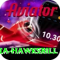 antigua hawksbill Ultimate Pro v3.7.4