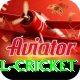 bbl cricket Plus v1.6.8