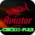bbl cricket Pro v3.4.9