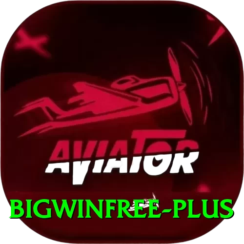 bigwinfree Pro Edition v4.3.0 - 2