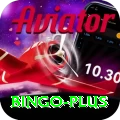 bingo Premium Plus v4.8.8
