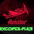 bingopkr Gold Edition v1.9.7