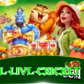 bpl live cricket Plus v3.0.2