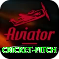 cricket pitch Master v5.3.8