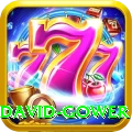 david gower Premium v1.7.2