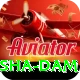 diamer bhasha dam VIP Edition v3.2.9