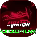hong kong cricket team Elite v2.2.3