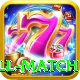 ind all match Max v1.1.4