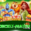 india cricket match Apps (Tools & Injectors) VIP v1.9.9