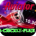 india england cricket APK Champion v2.9.1