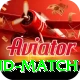 india new zealand match Gold Edition v1.0.9