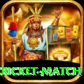 india pakistan cricket match Premium Edition v1.0.3