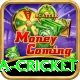 india sri lanka cricket Games (Casino & Earning) Pro v4.5.4