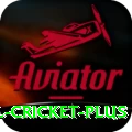 international cricket Slot Machine VIP