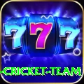 ireland cricket team Deluxe Pro v5.3.7