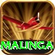 lasith malinga Pro1 v3.1.0