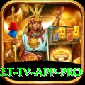 live cricket tv app Champion APK v5.3.6
