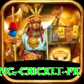 make money betting cricket pk Plus Pro v2.0.2