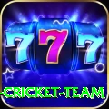 mumbai cricket team Pro Edition v3.1.6