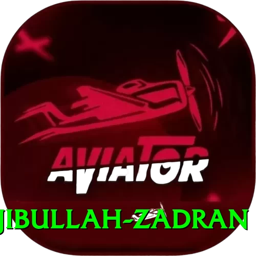 najibullah zadran Master Pro v4.6.3 - 2