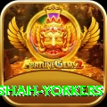 naseem shah yorkers Deluxe v3.6.8