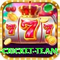 new zealand cricket team Games (Casino & Earning) VIP v3.7.0