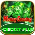 online cricket - Deluxe v2.4.9