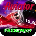 pakrummy Ultimate v2.5.4