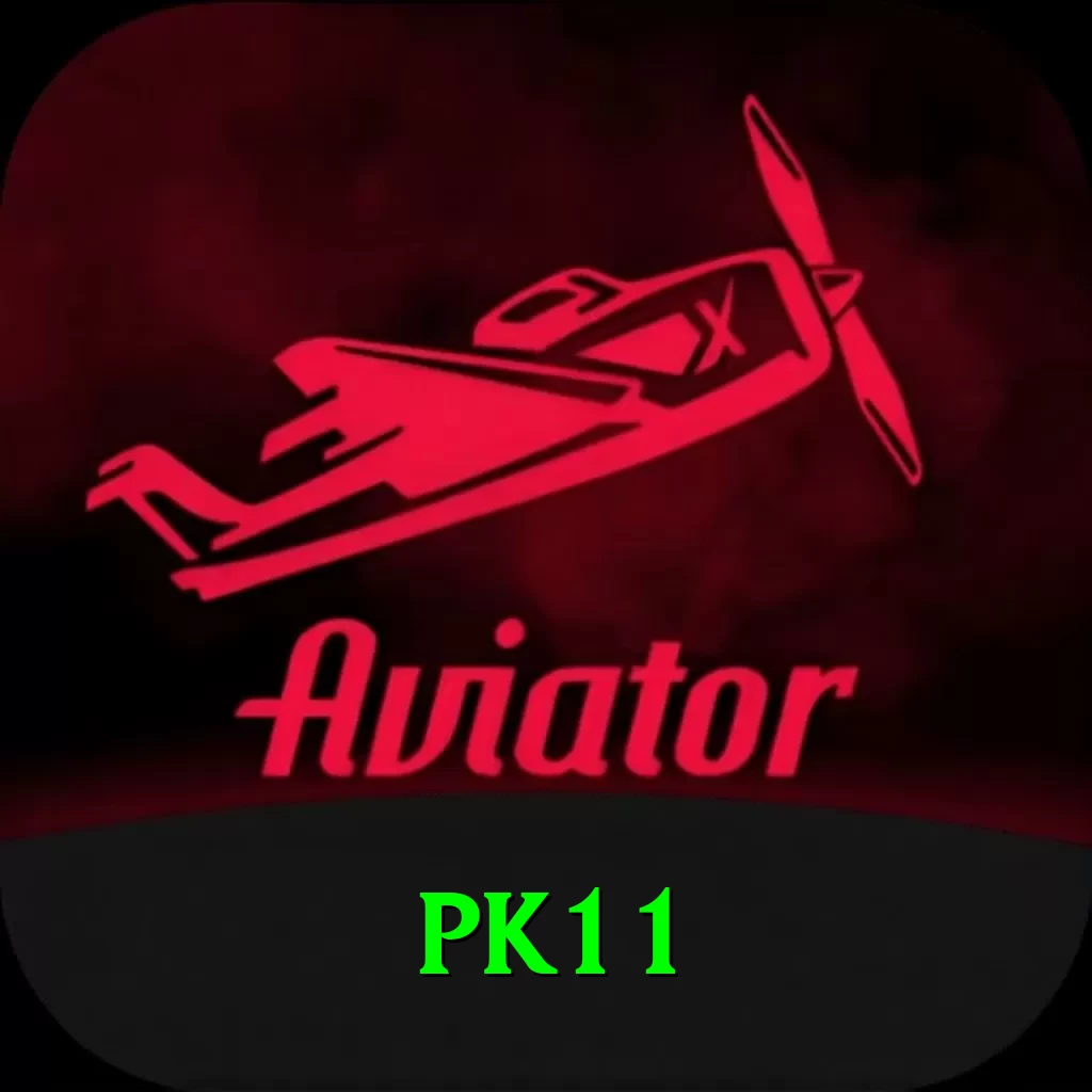 pk11 Pro Edition v2.8.2 - 2