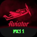 pk11 Pro Edition v2.8.2