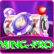 pkr666 - Gaming Pro