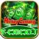 play cricket App
