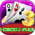 play cricket Slots Super v5.0.3