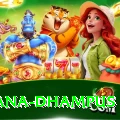 pothana dhampus Deluxe Pro v4.9.6