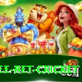 risk free bet cricket Premium Edition v3.0.4
