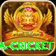 sa cricket Master Pro v1.6.7