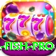sail fish Master Latest v2.9.6