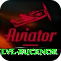 steve bucknor Gold Edition v4.2.6