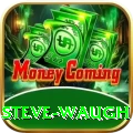 steve waugh Pro Edition v3.4.7