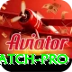 t20 live match - Live Pro