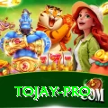 tojay Max Pro v4.4.4