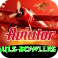 wicket hauls bowlers Max v4.0.4