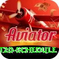 world t20 schedule Plus v4.7.1
