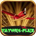 yaywin Pro Edition v2.4.1